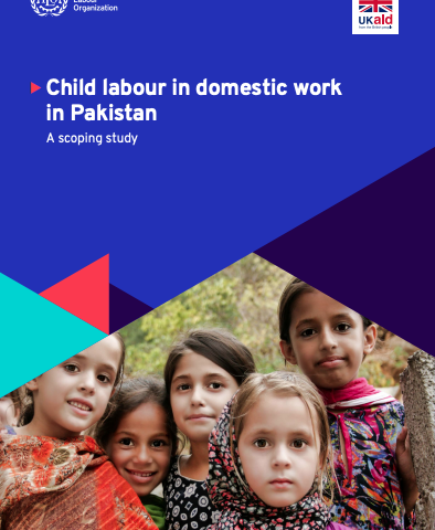 Scoping Study: Child Domestic Labour