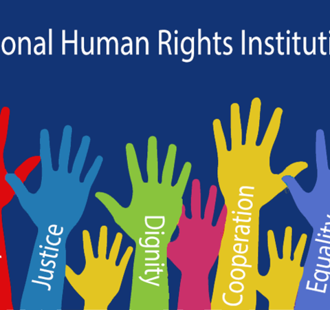 National Human rights institutions in Pakistan