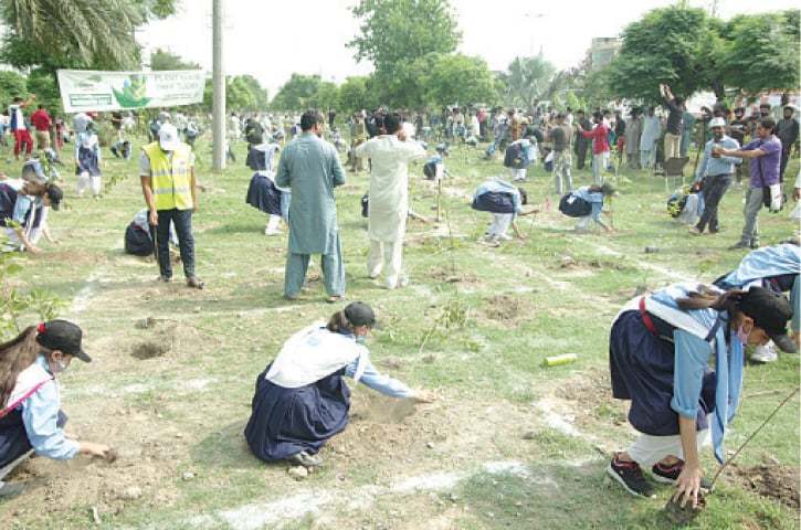 school children saplings